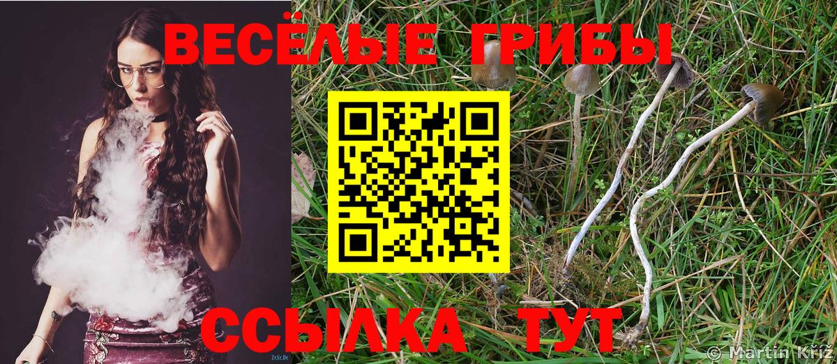 Урюпинск  Галлюциногенные грибы мухоморы  Галлюциногенные грибы прущие грибы  Вход с VPN 